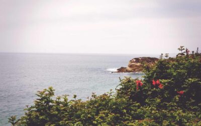 Autem autem neque est