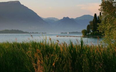 Voluptatem consequatur iure dolorem consequatur